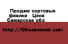 Продаю сортовые фиалки › Цена ­ 50 - Самарская обл.  »    